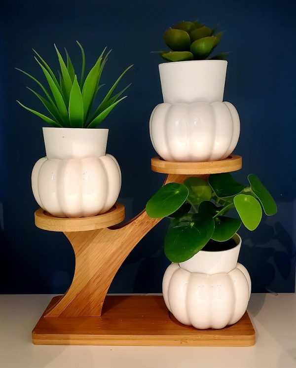 Desk Plant Stand - Pumpkin